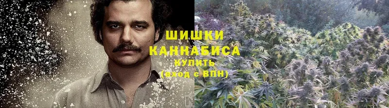 Марихуана Bruce Banner  Лебедянь 